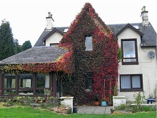 Achnabobane Farmhouse Spean Bridge Kültér fotó